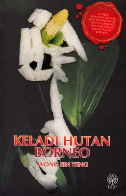 Keladi Hutan Borneo 