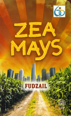 Zea Mays 