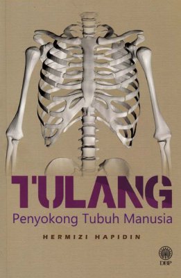 Tulang Penyokong Tubuh Manusia 