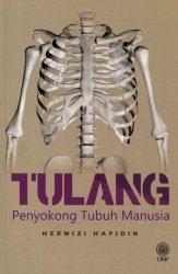Tulang Penyokong Tubuh Manusia