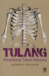 Tulang Penyokong Tubuh Manusia